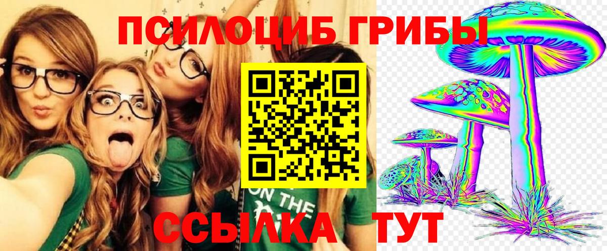 Псилоцибиновые грибы прущие грибы Сатка