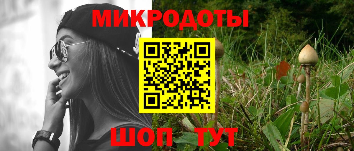 Галлюциногенные грибы Magic Shrooms  Вход с VPN  Сатка 